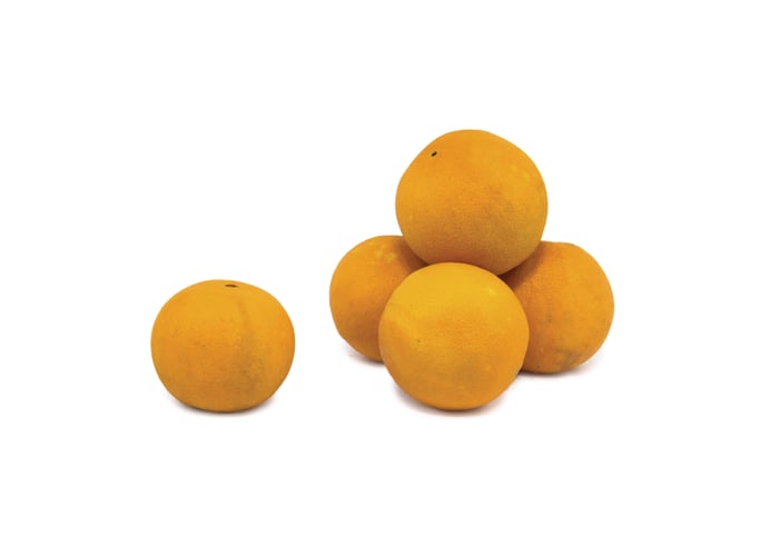 Organik Portakal (750gr)