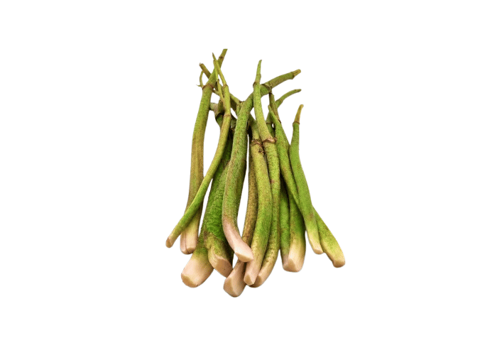 Işkın Otu (500gr)