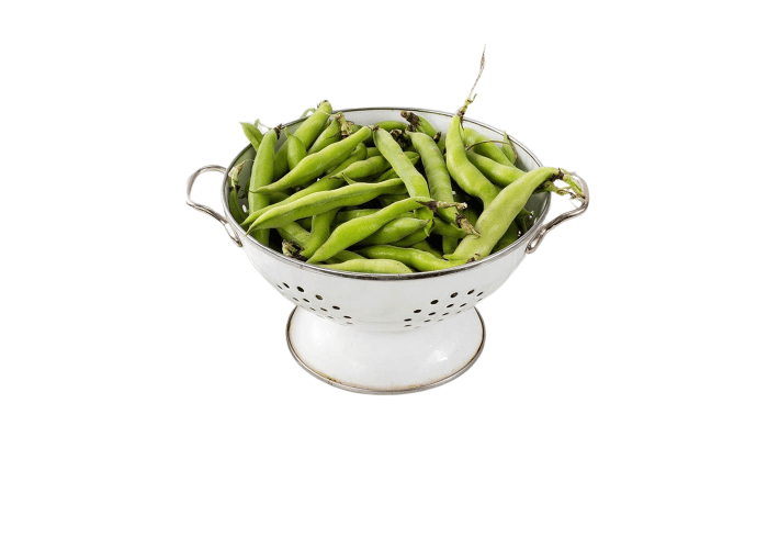 Sakız Bakla (500gr)