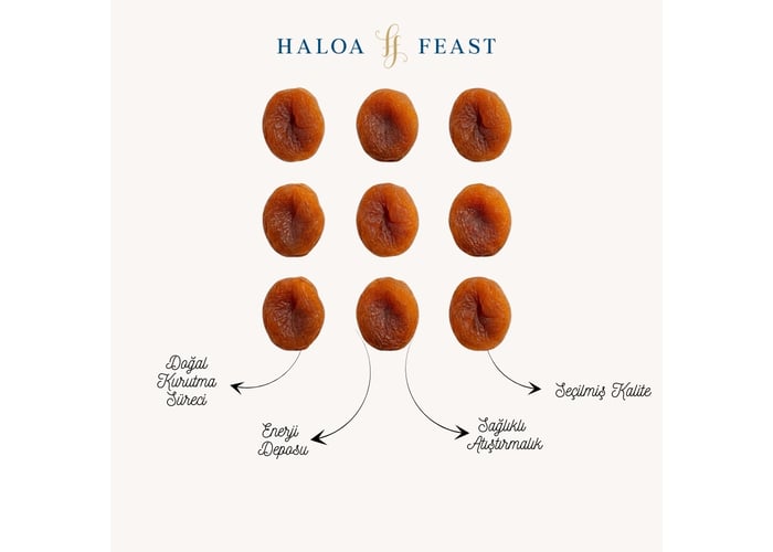Gün Kurusu Kayısı (250gr) - HALOA FEAST