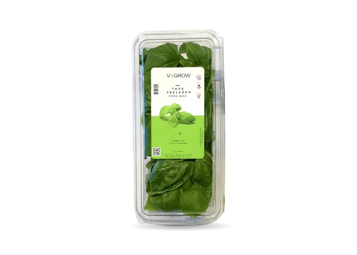 Taze Fesleğen (25gr)