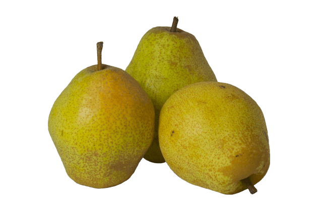 Organik Deveci Armudu (500-550gr)