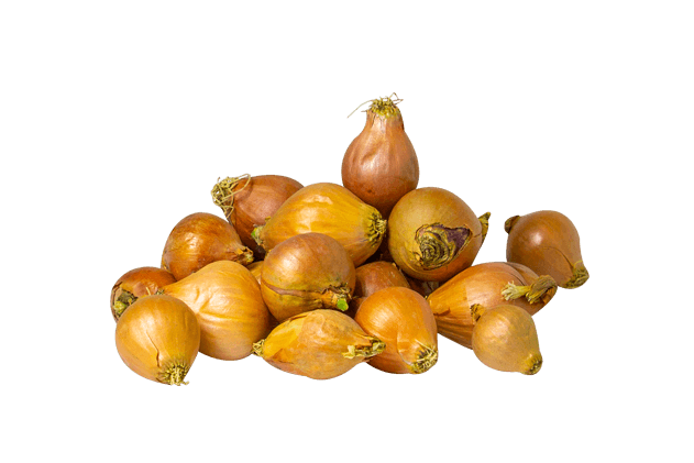 Arpacık Soğan (500gr)