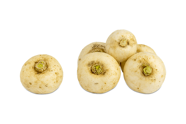 Organik Beyaz Turp (500gr)