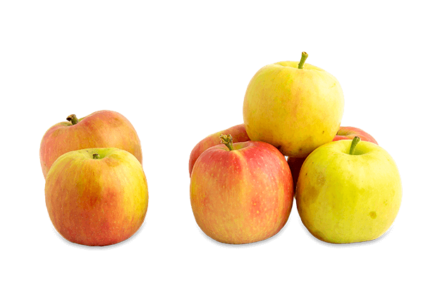 Elma - Çanakkale (1kg)