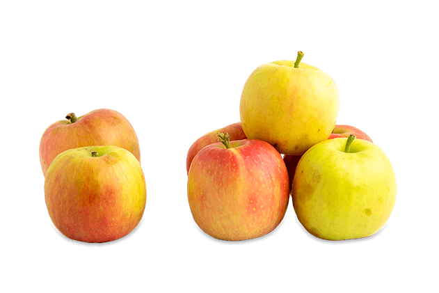 Organik Kırmızı Elma(500gr)