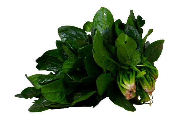 Ispanak (500gr)
