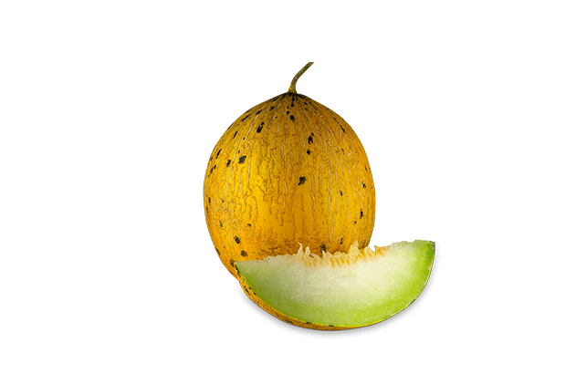 Kırkağaç Kavun