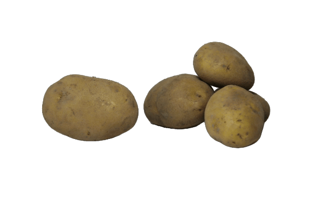 Organik Kızartmalık Patates (1kg)