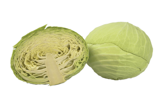 Organik Beyaz Lahana (3-4kg)