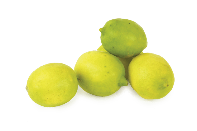 Organik Limon (1kg)