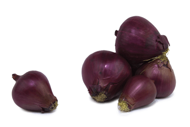 Organik Mor Soğan (1kg)
