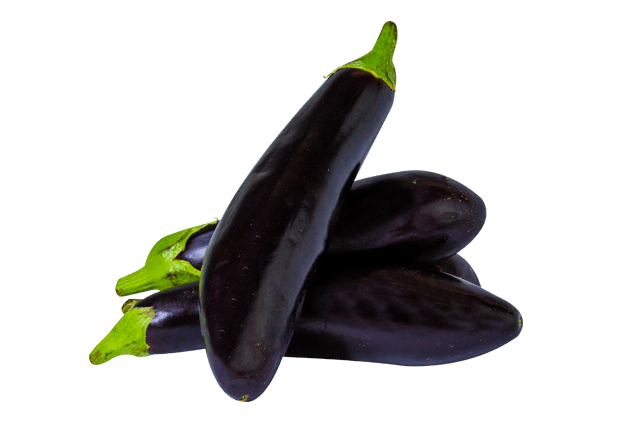 Patlıcan