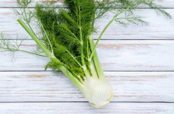 Taze rezene ile hazırlanabilecek harika lezzetler