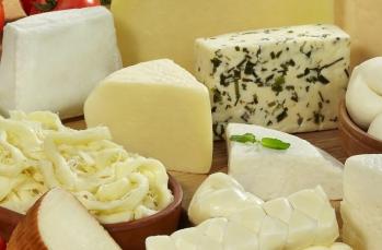 Peynir şölenli dolma tarifi