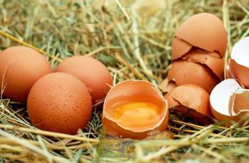 Doğal, organik veya endüstriyel yumurta, hangisi?