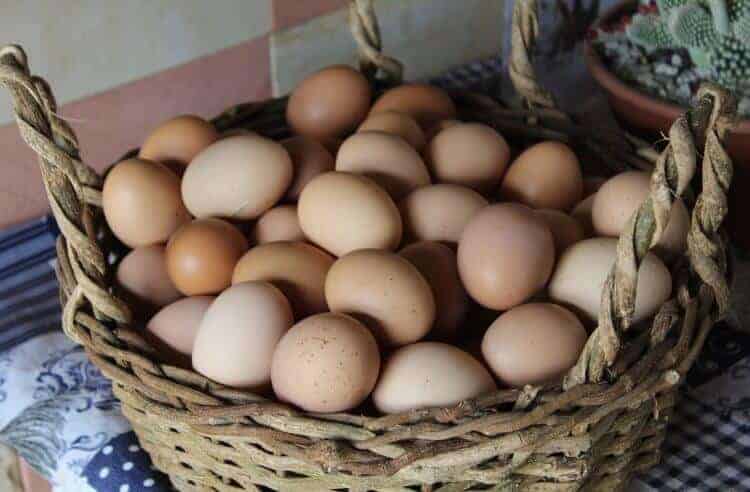 Yumurtada soğuk zincir gerekli mi?
