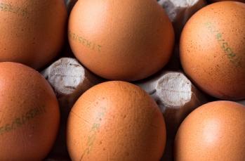 Yumurtaların üzerindeki kodlar neyi ifade ediyor?