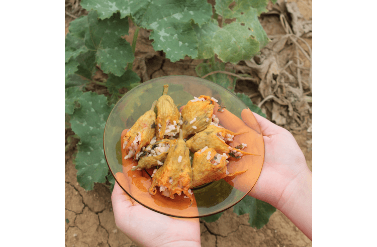 Kabak çiçeği dolması tarifi