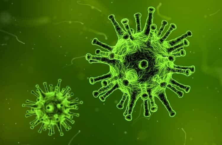 Bakteri ve virüs arasındaki fark nedir?