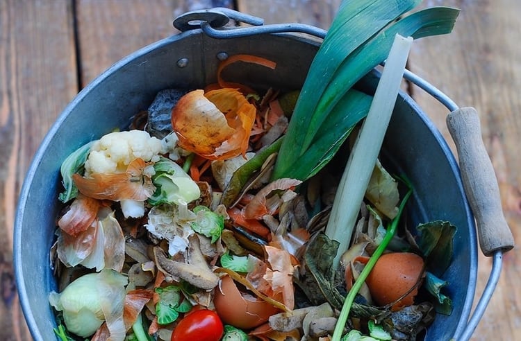 Evinizde organik atıklarınızdan kompost yapın.