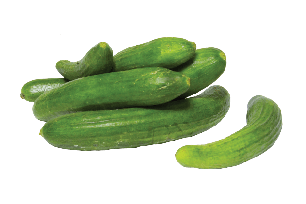 Organik Salatalık T (1kg)