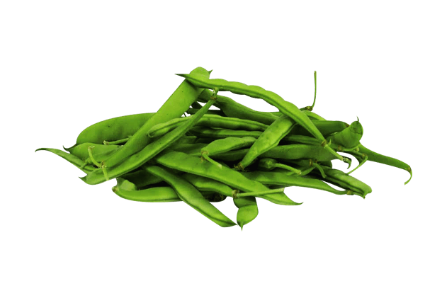 Organik Taze Fasülye (Ayşe Kadın, 500gr)