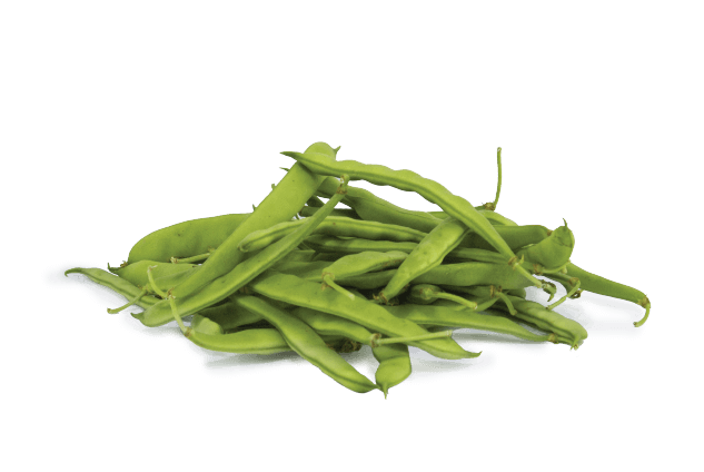 Organik Taze Fasulye (500gr)