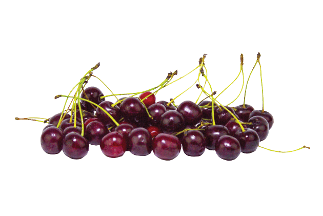 Organik Vişne (300gr)