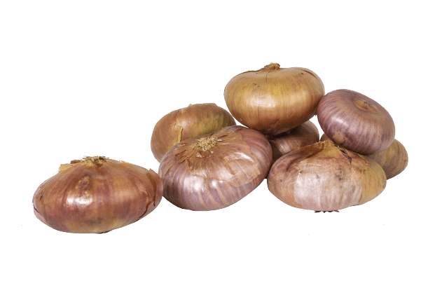 Organik Yassı Soğan (500gr)
